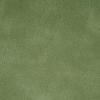 Pale Green Pale Green